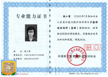中国教育发展协会证书的重要性及其影响力
