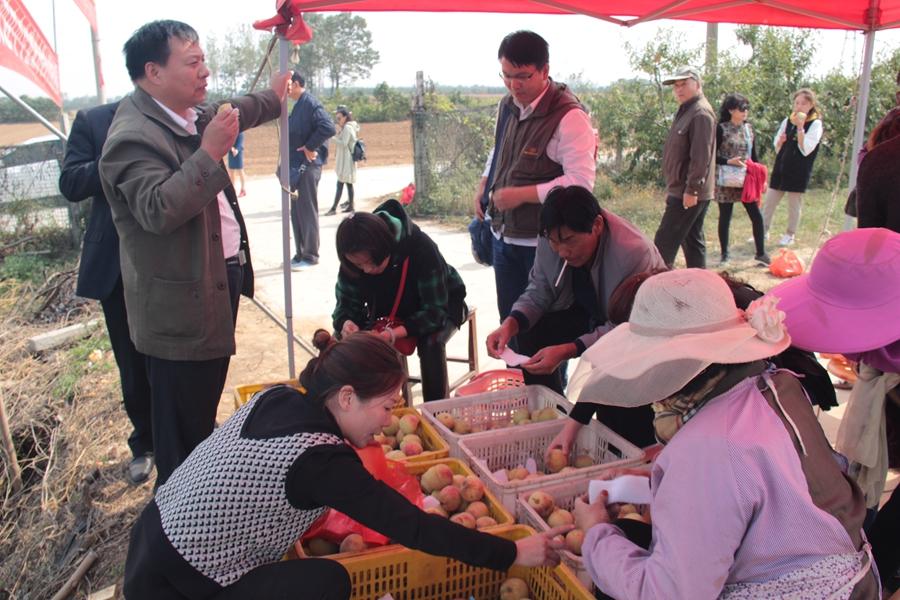 河南教育协会，引领河南教育走向新的辉煌