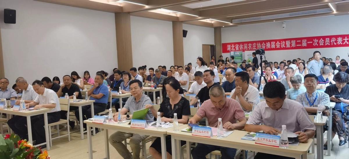 江夏教育协会所在地，优质教育资源新坐标探寻