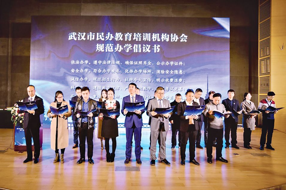 民办学前教育协会，推动学前教育事业的重要力量