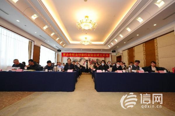 职业技能教育培训协会，推动行业发展的核心力量引擎。