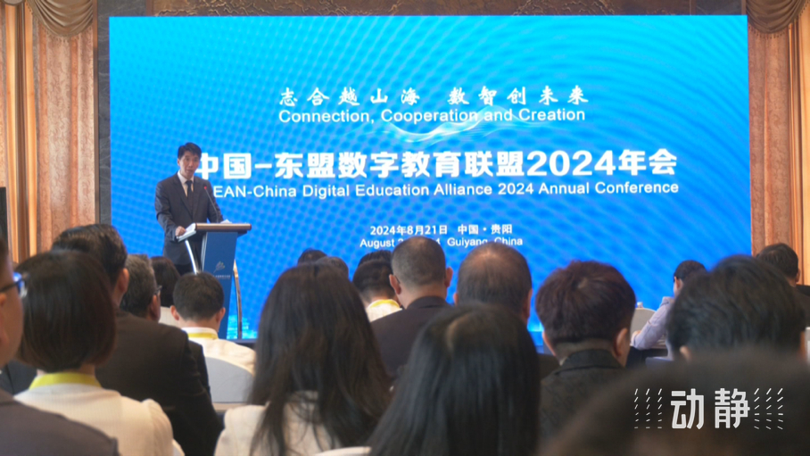 东盟教育文化交流协会，推动教育文化的新动力