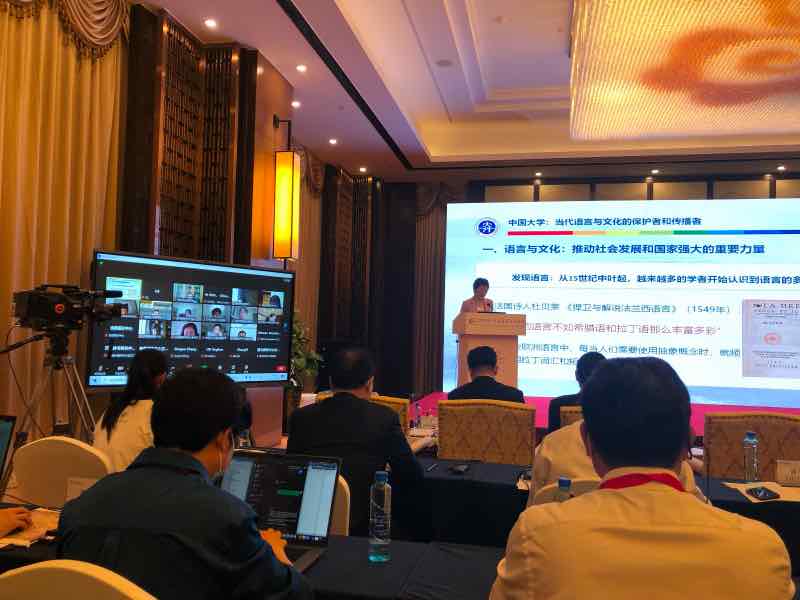 东盟教育文化交流协会，引领教育文化创新发展的驱动力