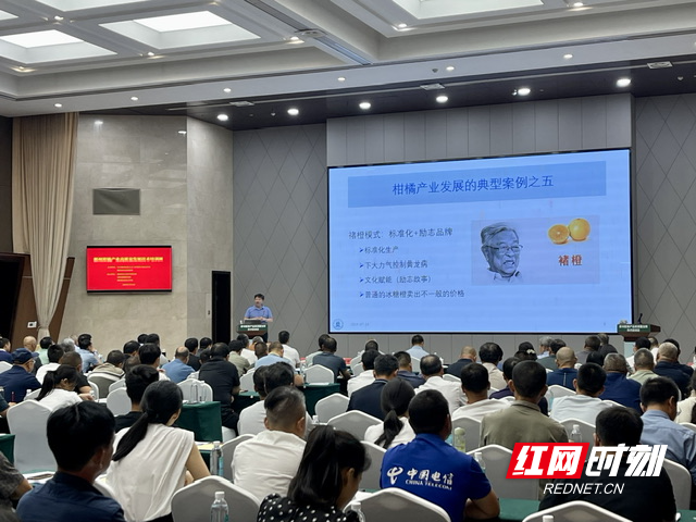 郴州学前教育协会地址与影响力概述