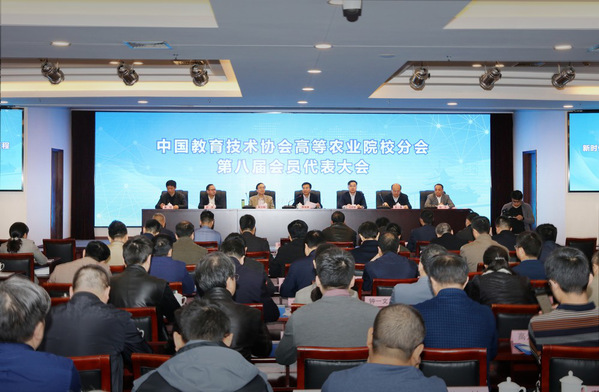 中国教育技术协会引领革新，助推教育现代化进程
