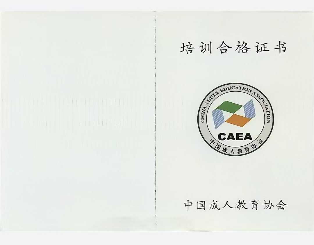 中国成人教育协会官网，探索成人教育的核心力量之源