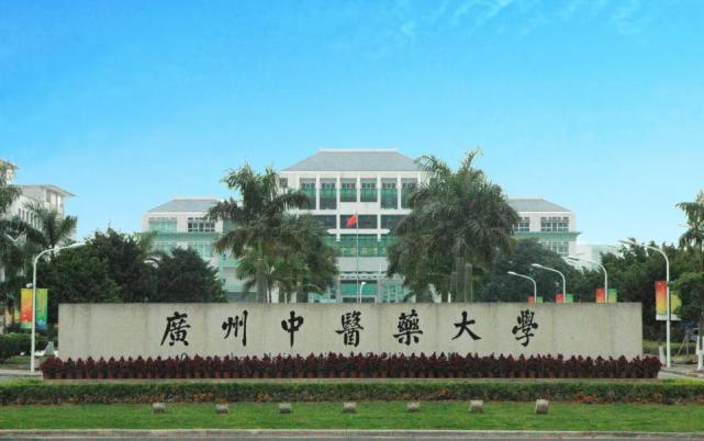 广东省成人教育协会引领成人教育事业迈向新辉煌