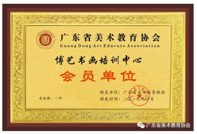 美协教育协会，艺术教育的领航典范