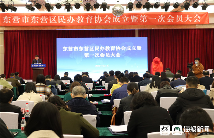 区教育协会，引领区域教育发展的核心力量领航者