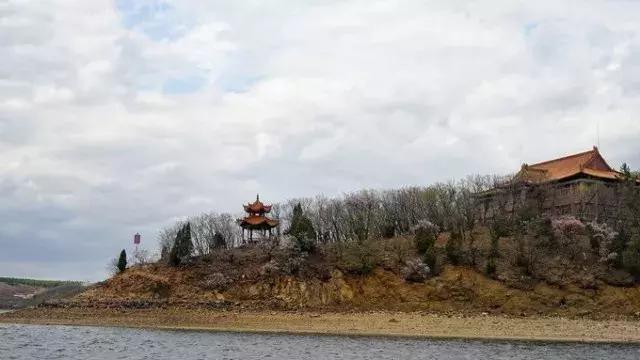 黑龙江省执业药师协会继续教育网，引领药师职业发展的先锋平台
