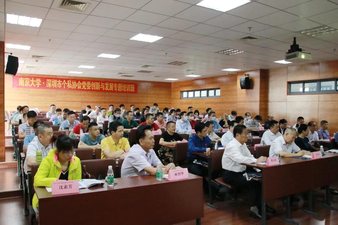 教育发展协会，引领变革，塑造未来教育之光