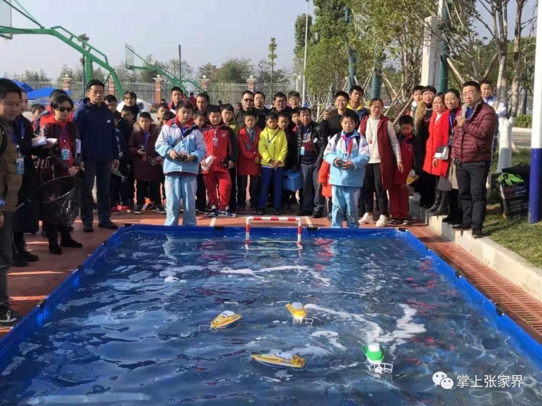 中小学教育协会，引领教育创新，共筑未来之光