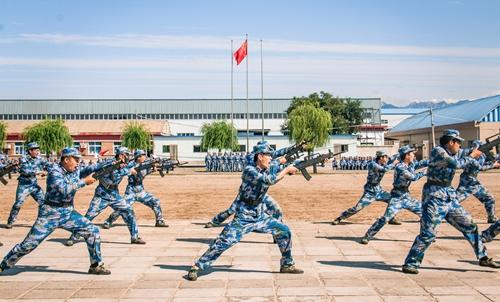 教育部体育协会，推动体育事业与教育融合发展的核心力量