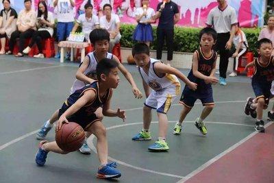 教育部体育协会，推动体育事业与教育融合发展的核心力量