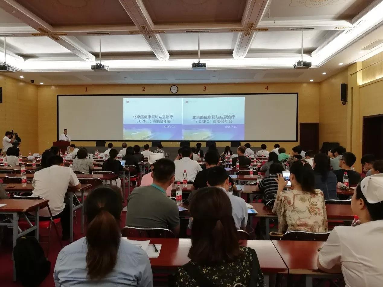 康复教育协会，引领康复之路，点亮未来之光