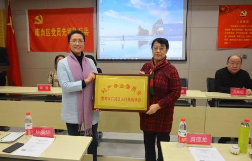 康复教育协会，引领康复之路，塑造未来之光