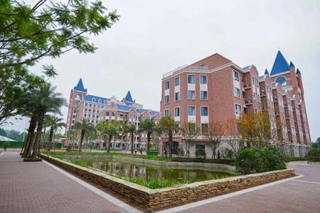 成都教育民办协会，引领民办教育发展的先锋力量