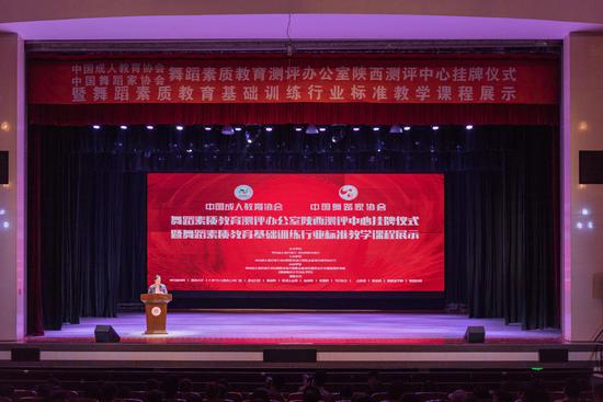 中国舞蹈教育协会，引领舞蹈教育的卓越力量