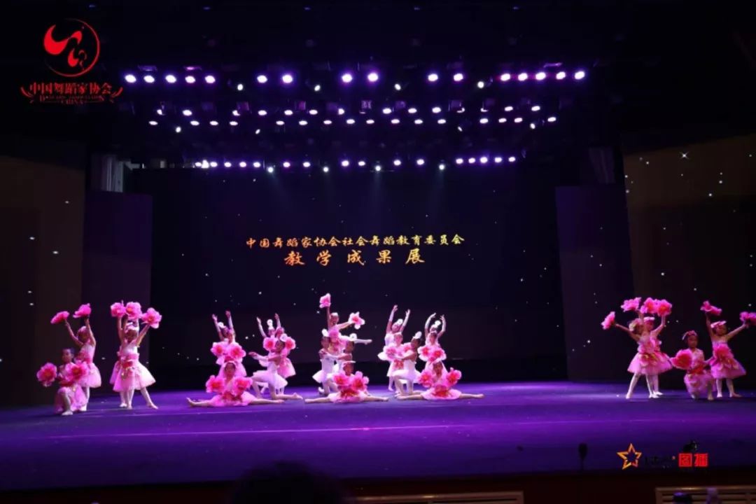 中国舞蹈教育协会，引领舞蹈教育的卓越力量