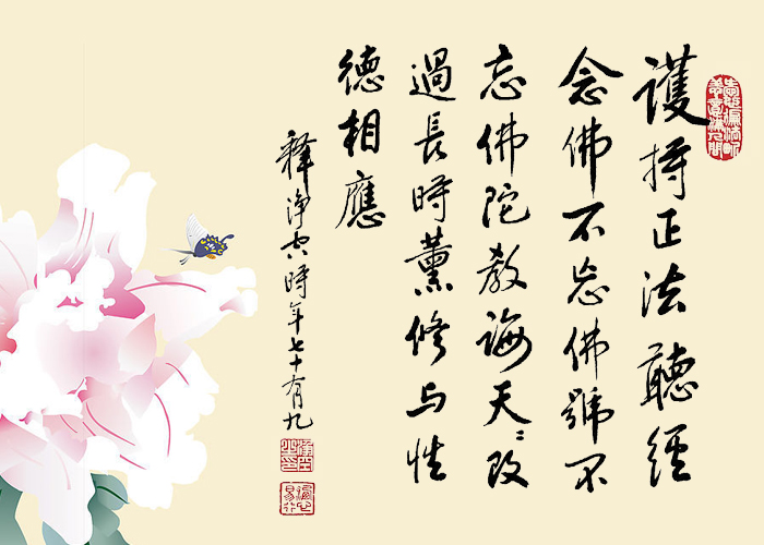 香港佛陀教育协会与净空法师，传承与弘扬佛教教育的重要力量