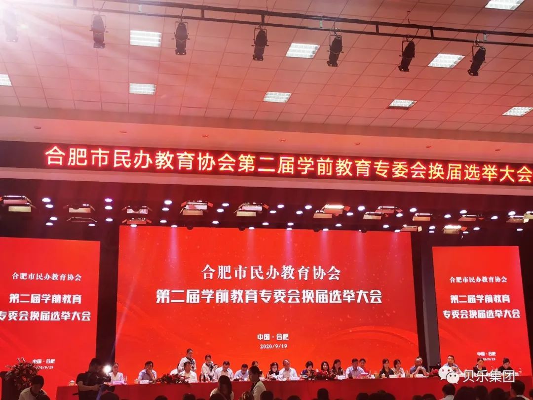 合肥民办教育协会，先锋力量引领民办教育发展之路