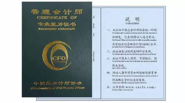 总会计师协会在继续教育中的核心作用与贡献解析