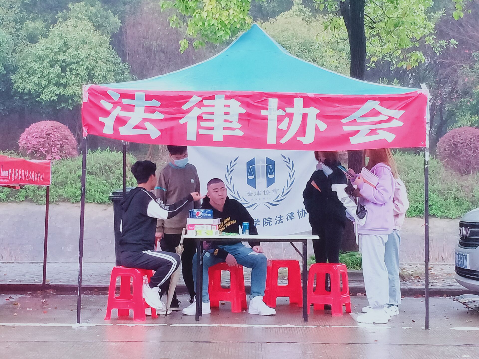 法律教育协会，塑造法治社会的基石