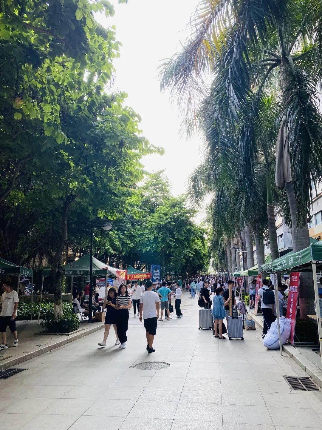 厦门执业教育协会，引领职业发展的先锋力量