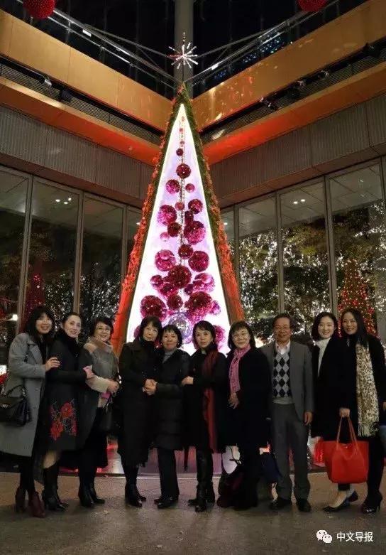 江苏科技教育协会，引领科技创新，培育未来科技人才