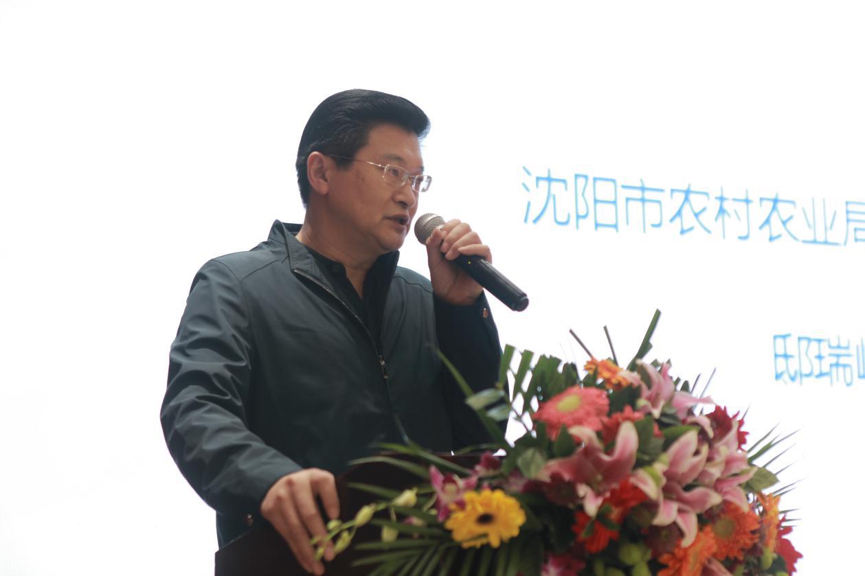 沈阳市教育协会，先锋力量引领城市教育发展之路