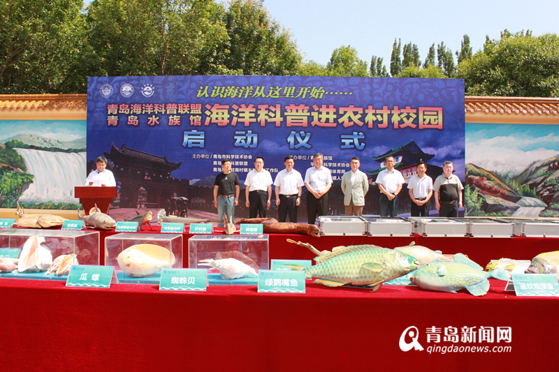 青岛市教育协会，引领教育创新，铸就明日之光