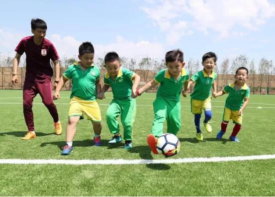 幼儿教育家协会，引领未来教育的新力量