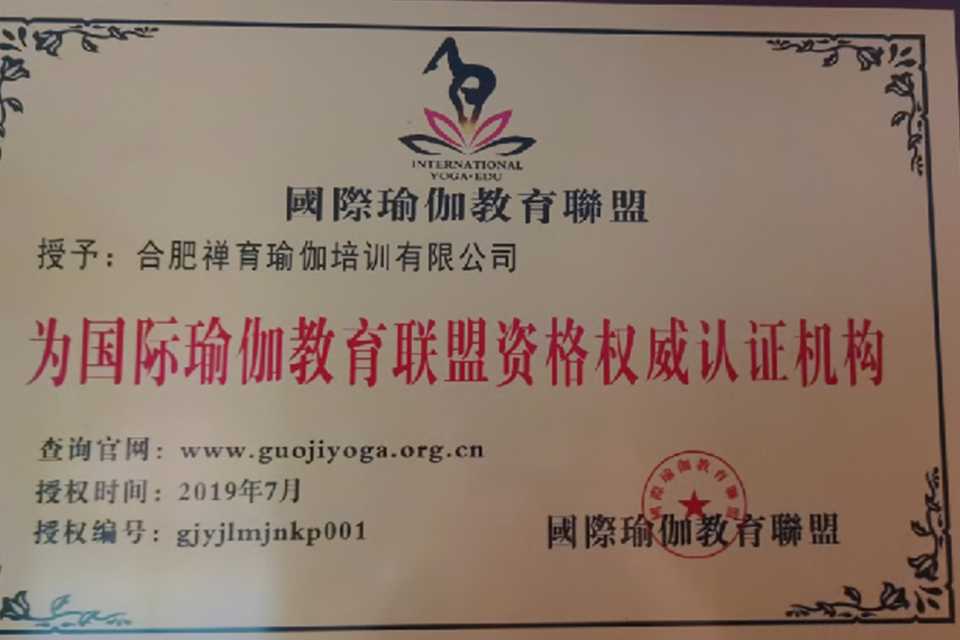 国际瑜伽教育协会，引领全球瑜伽教育的新时代