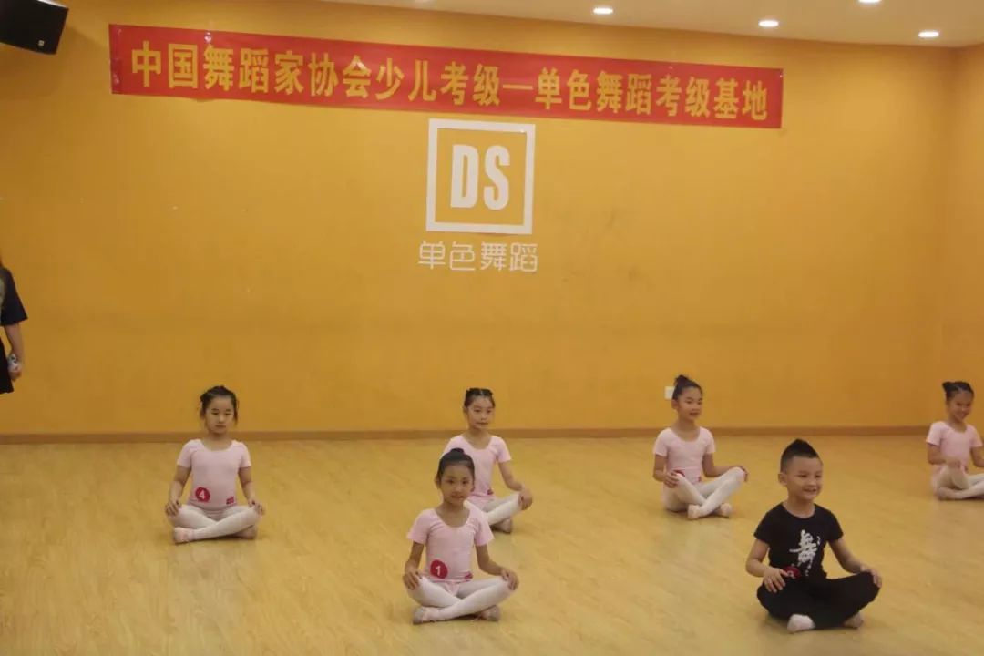 中国儿童舞蹈教育协会，引领儿童舞蹈教育的领航者