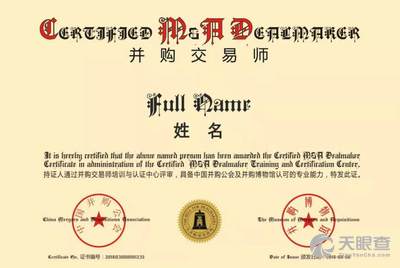 上海继续工程教育协会网，构建终身学习与专业成长的桥梁平台