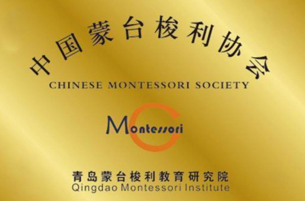 中国蒙特梭利教育协会，引领蒙特梭利教育本土化发展的先锋力量