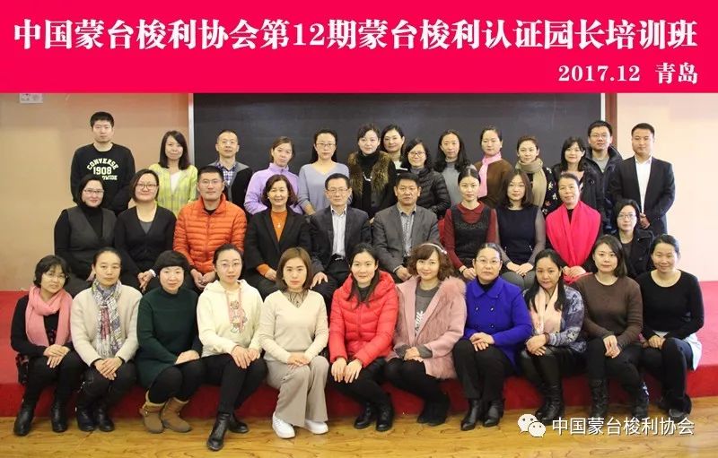 中国蒙特梭利教育协会，引领蒙特梭利教育本土化发展的先锋力量
