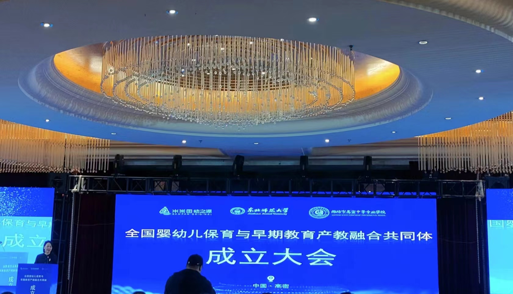 中国婴幼儿早期教育协会，引领未来之星成长的先锋力量