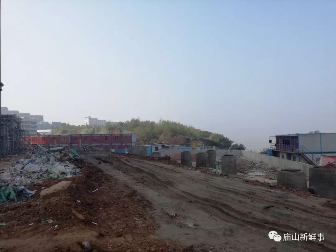 江夏教育协会，引领地区教育发展的坚实力量