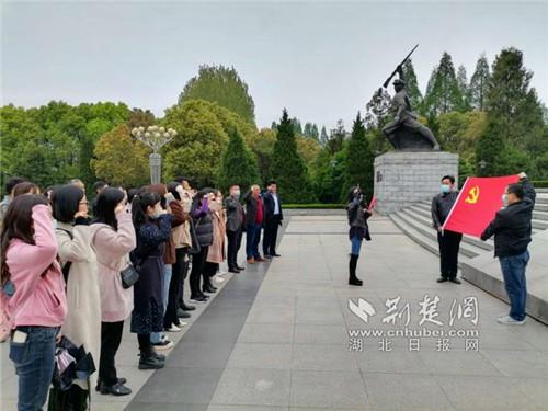 江夏教育协会，引领地区教育发展的坚实力量