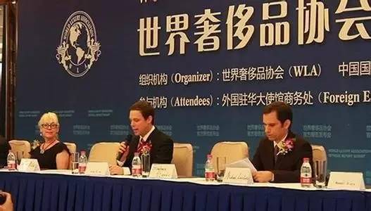 山寨教育协会名单现象，问题、原因与解决之道探究