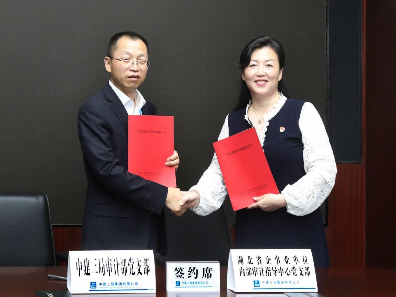 湖北教育审计协会，推动教育审计事业发展的重要力量