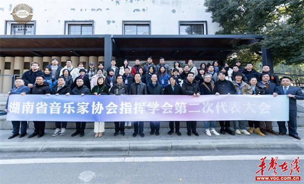 长沙音乐教育协会，引领音乐教育的方向标