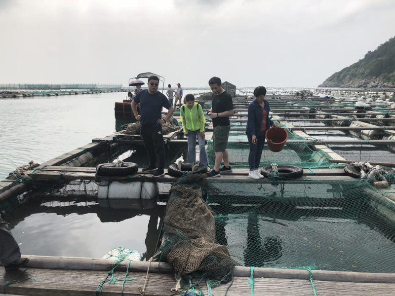 平阳家庭教育协会，引领家庭教育新风尚