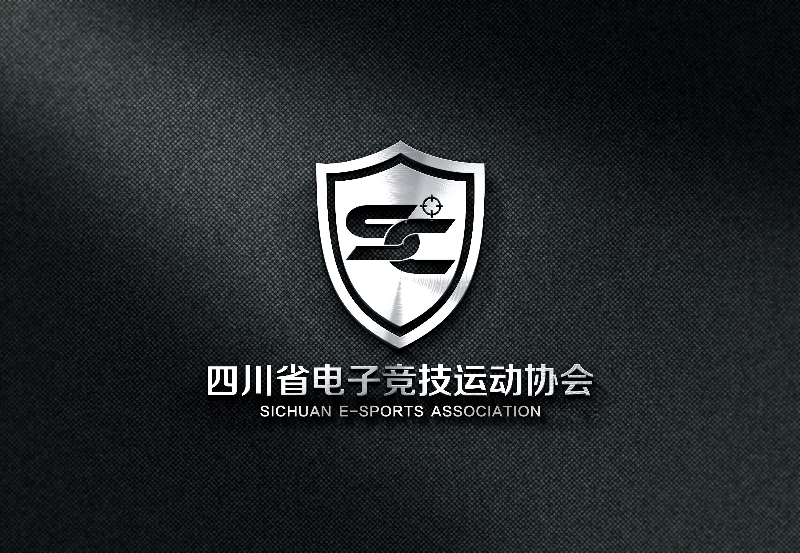 电子竞技教育协会，引领电子竞技走向专业化与教育化的先锋力量