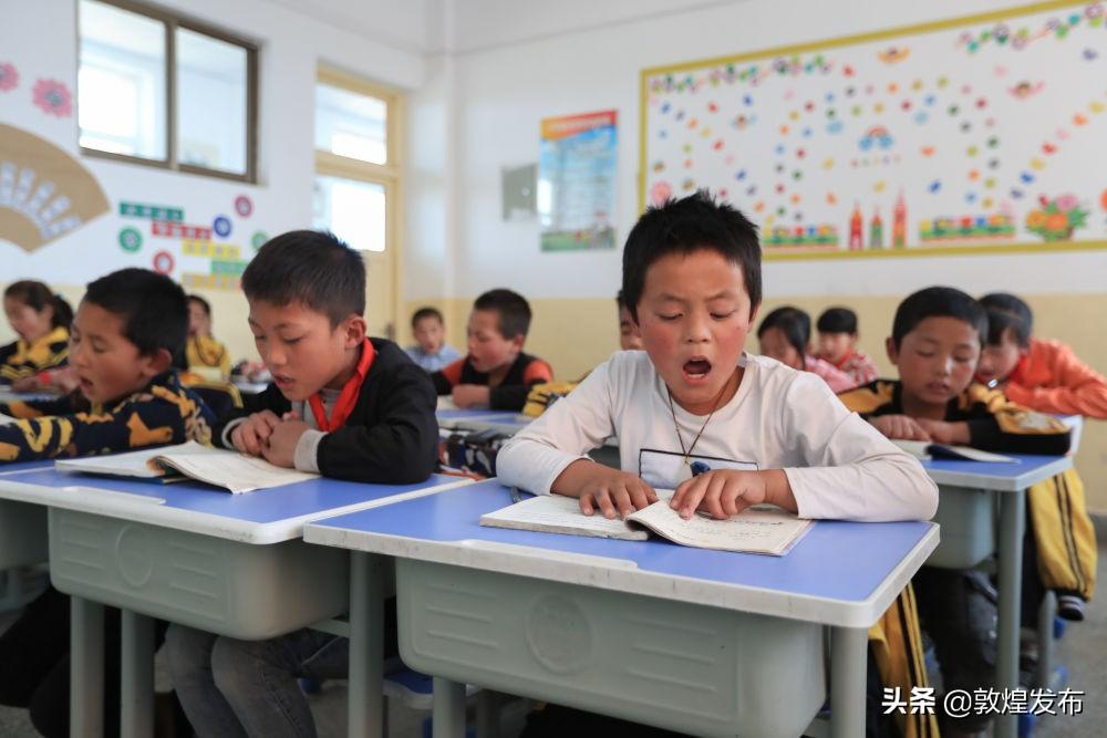龙泉学前教育协会，幼教发展的典范领航者