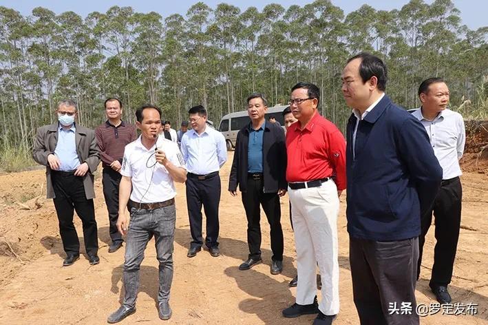 检疫协会在继续教育中的关键作用分析