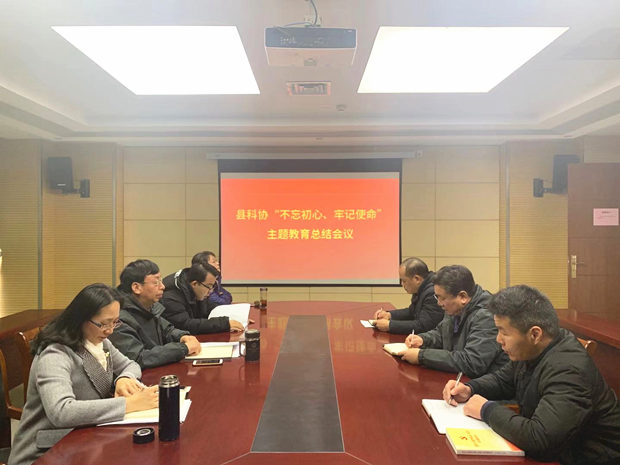 服务协会主题教育总结报告