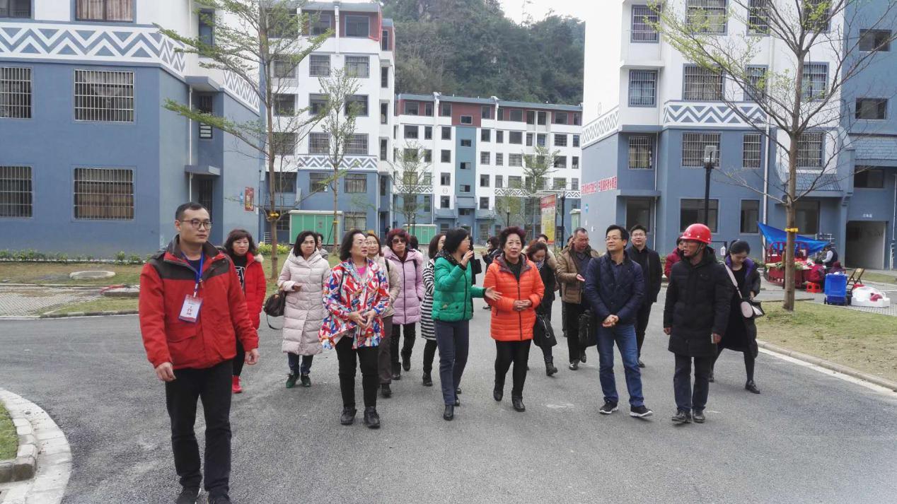 广西建设教育协会招聘启事，携手共创卓越教育未来