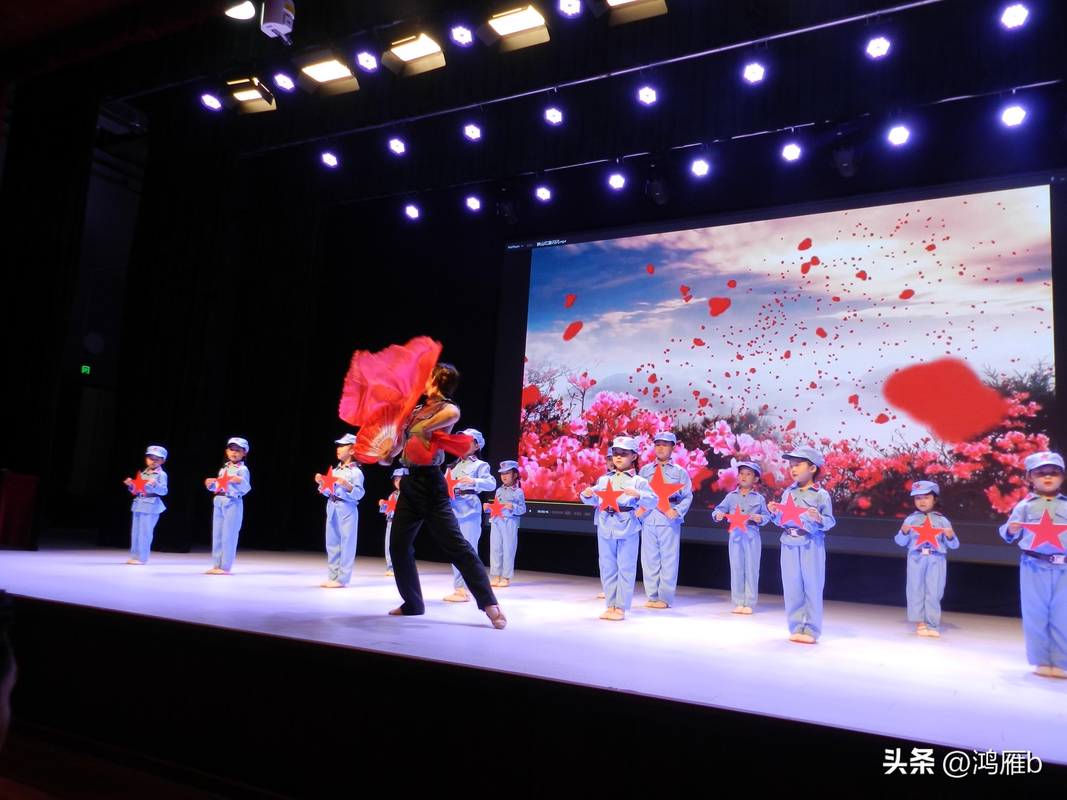 实践教育协会，引领教育创新变革的新力量标杆